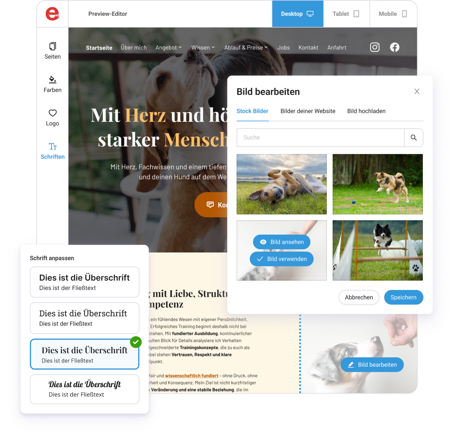 Beispielhafte Darstellung der Tools und Möglichkeiten zur Erstellung einer Website bei reeach
